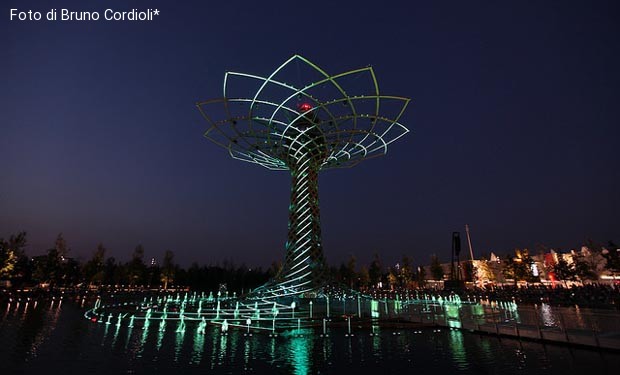 Expo 2015. Alle radici dell’albero della vita